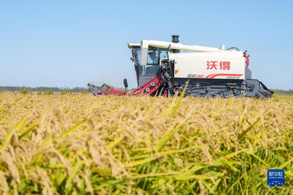 永利投注网址